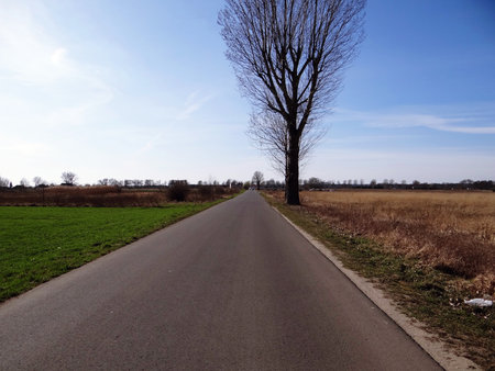 Two sides of the roadの写真素材