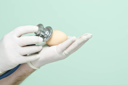 chicken egg is consulted with a stethoscopeの写真素材