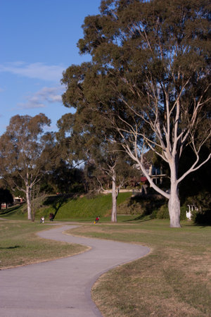 Winding path through parklandsの写真素材