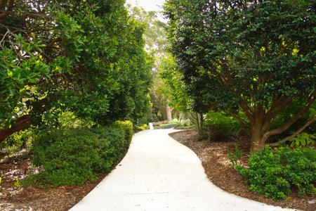 Winding garden pathway
