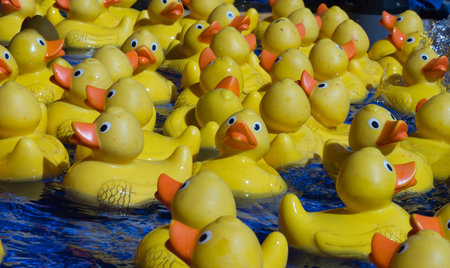 Yellow toy ducks at carnival floating on waterの写真素材