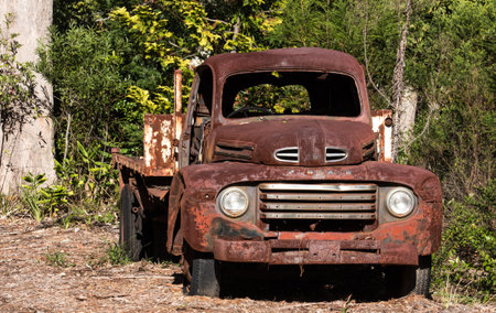 Vintage abandoned rusty farm truck ute against green treesの写真素材