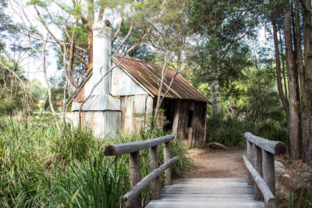 Old Australian wooden bush shack house with corrugated iron roof, wooden bridge leading to entrance surrounded by eucalyptus gum treesの写真素材