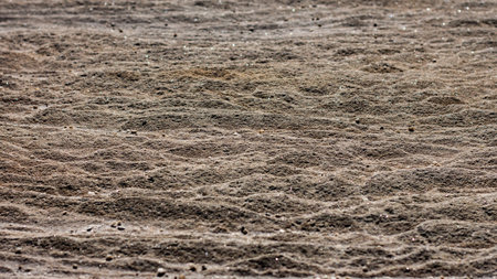 Sandstone rock face surface layers weathered by seaside, ideal as natural geologic background