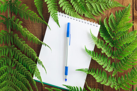 Eco concept notepad, eco-friendly paper pen and green leafの写真素材