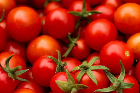 Juicy little red and orange cherry tomatoes close upの写真素材