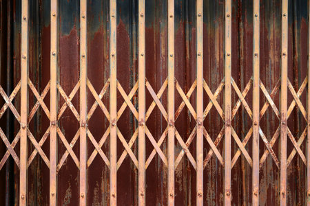 steel stretch door