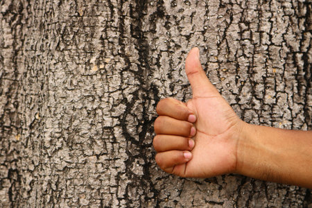 Thump up with bark backgroundの写真素材