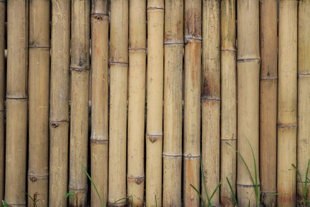 close up bamboo wall background