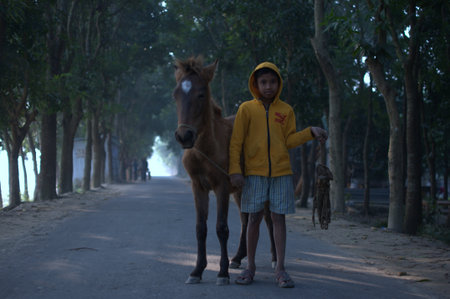 Dhaka, Bangladesh, 13 December 2018: An image of a boy with his horse in a winter morning in a rural area of Bangladesh.のeditorial素材
