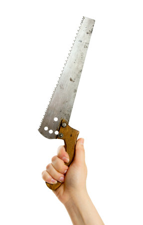 Working tools. Saw in a hand on a white background.の写真素材