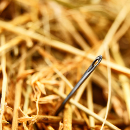 Needle and a hay .の写真素材