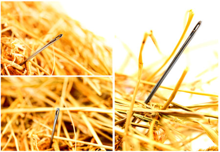 Needle in a haystack. set.