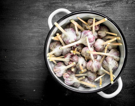 Fresh garlic in a saucepan. On a black chalkboard.の写真素材