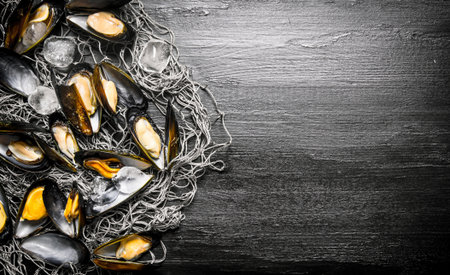 Clams on the fishing net. On a black wooden background. Free space for text . Top viewの写真素材