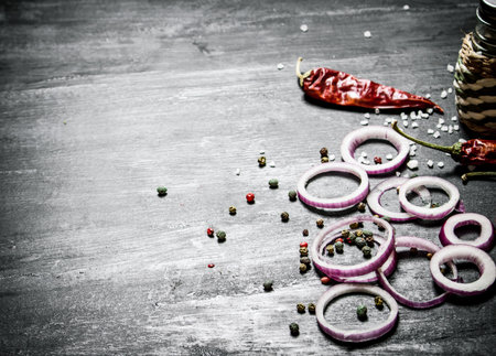 Onion rings and spices. On the black rustic background.の写真素材