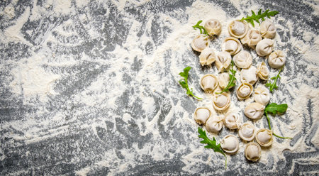 Homemade ravioli stuffed with herbs . On the stone table with flour. Free space for text . Top viewの写真素材