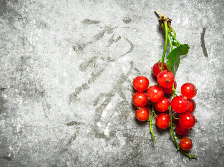 Branch of red currants. On a stone background.の写真素材