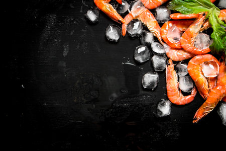Shrimp with pieces of ice. On the black board.の写真素材