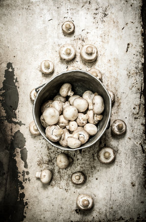 Fresh mushrooms in an old pot. On the rustic background.の写真素材