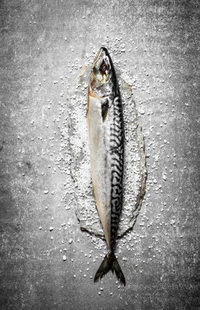 Fresh fish with salt. On a stone background.の写真素材