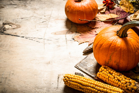 Autumn food. Autumn fruits and vegetables. On wooden background.の写真素材