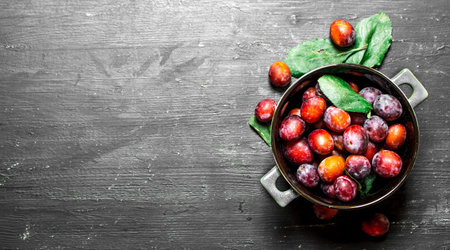 Ripe plums in bowl with leaves. On a black chalkboard.の写真素材