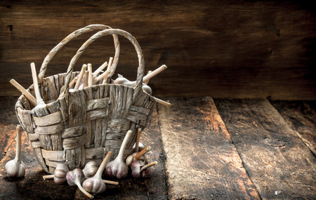 Fresh garlic in a basket. On a wooden background.の写真素材