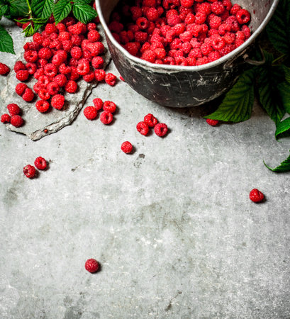 Fresh raspberries in the old pot. On a stone background.の写真素材