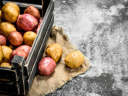 Fresh potatoes in a box. On a rustic background.の写真素材