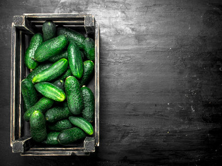 Fresh cucumbers in an old box. On a black chalkboard.の写真素材