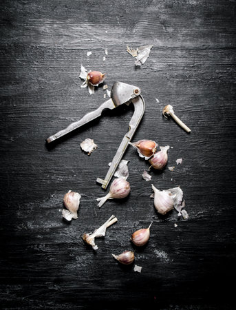 Fresh garlic and garlic press. On a black chalkboard.の写真素材