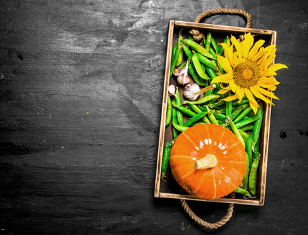 Green peas with pumpkin and sunflower on a wooden tray. On the black chalkboard.の写真素材
