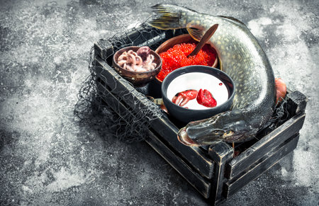 Different seafood in the box. On a rustic background.の写真素材