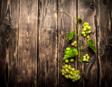 White grapes with an old knife. On a wooden table.の写真素材