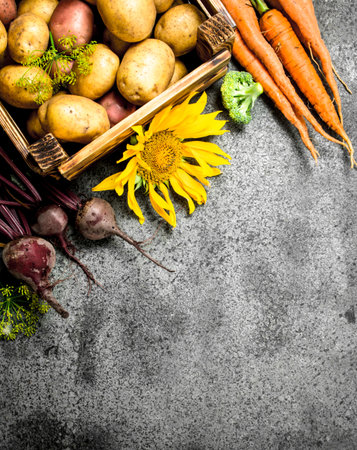 Organic food. Harvested vegetables. On a rustic backgroundの写真素材