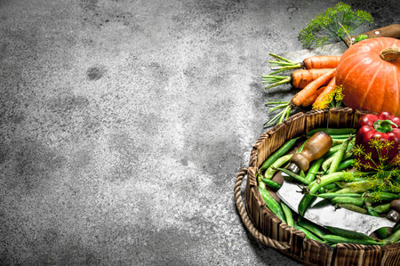 Organic food. Green peas with different vegetables on a tray. On a rustic background.の写真素材