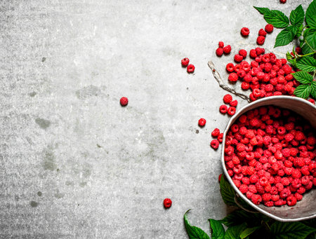 Fresh raspberries in the old pot. On a stone background.の写真素材