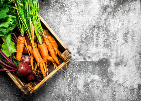 Organic food. Vegetables in an old box. On a rustic background.の写真素材