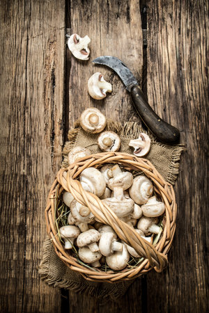 Fresh mushrooms in basket. On a wooden background.の写真素材
