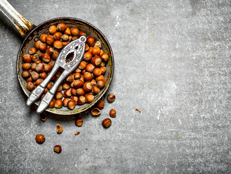 Hazelnuts and a Nutcracker in the old pan. On the stone table.の写真素材