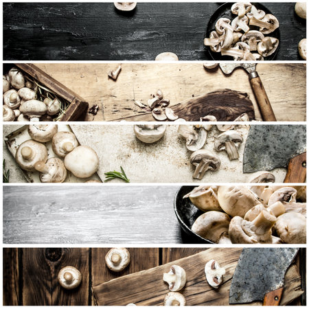 Food collage of mushrooms.の写真素材