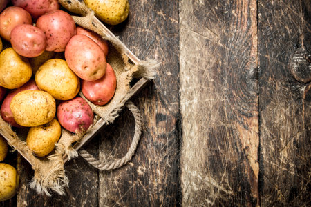 Fresh potatoes on a wooden tray. On a wooden background.の写真素材