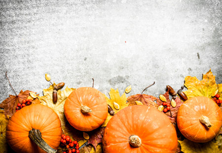Autumn harvest. Pumpkins with autumn leaves. On the stone table.の写真素材