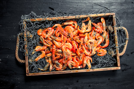 Fresh shrimp in a fishing net on a tray. On the black chalkboard.の写真素材