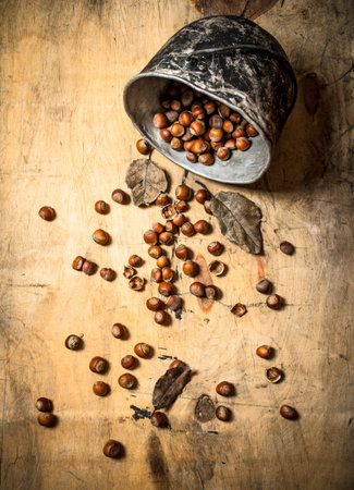 Hazelnuts in the old pot. On a wooden table.の写真素材