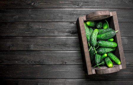 Fresh cucumbers in the box. On wooden backgroundの写真素材