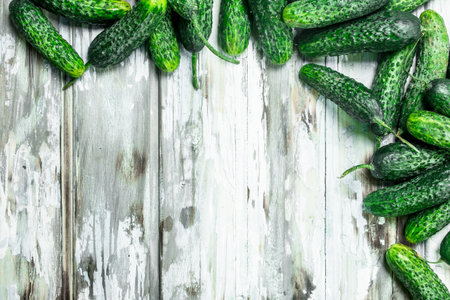 Whole ripe fresh cucumbers. On white wooden backgroundの写真素材
