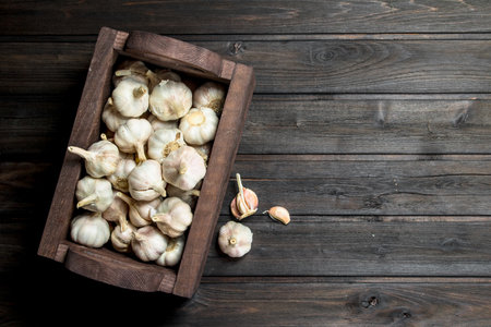 Garlic in the box. On black wooden backgroundの写真素材