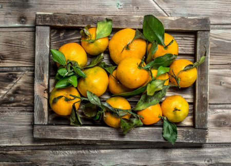 Mandarins with leaves on a tray. On wooden backgroundの写真素材
